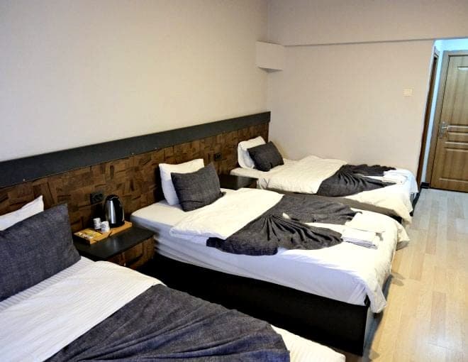 Erzurum şehir manzarası - tarihi Erzurum